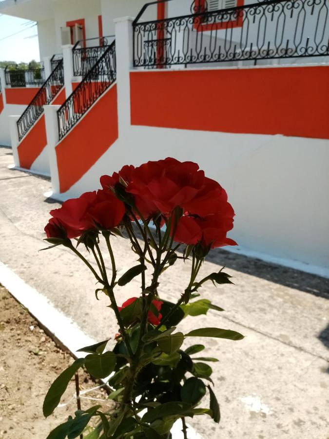 Apartment Nikitas *